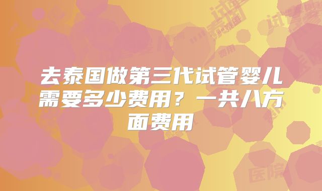去泰国做第三代试管婴儿需要多少费用？一共八方面费用