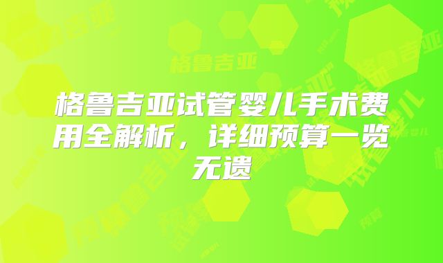 格鲁吉亚试管婴儿手术费用全解析，详细预算一览无遗