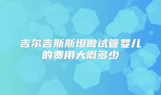 吉尔吉斯斯坦做试管婴儿的费用大概多少
