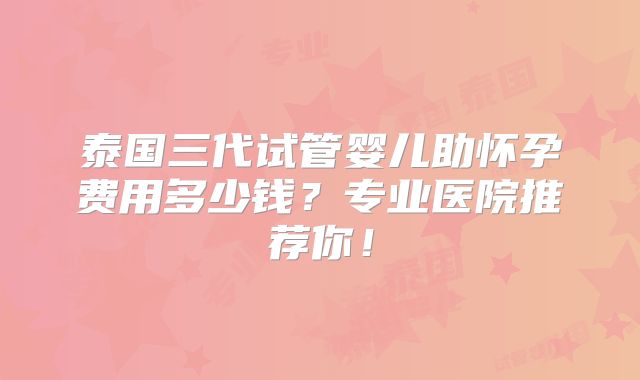 泰国三代试管婴儿助怀孕费用多少钱?专业医院推荐你!