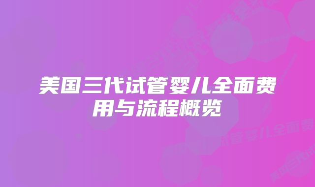 美国三代试管婴儿全面费用与流程概览