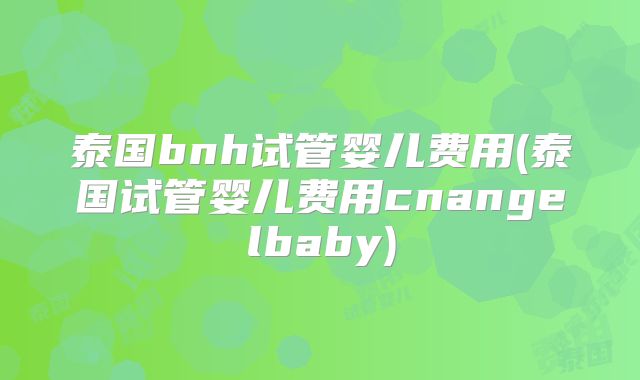 泰国bnh试管婴儿费用(泰国试管婴儿费用cnangelbaby)