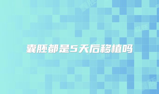 囊胚都是5天后移植吗