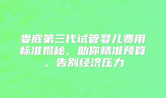 娄底第三代试管婴儿费用标准揭秘,助你精准预算,告别经济压力