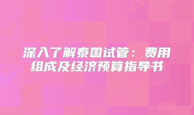 深入了解泰国试管：费用组成及经济预算指导书