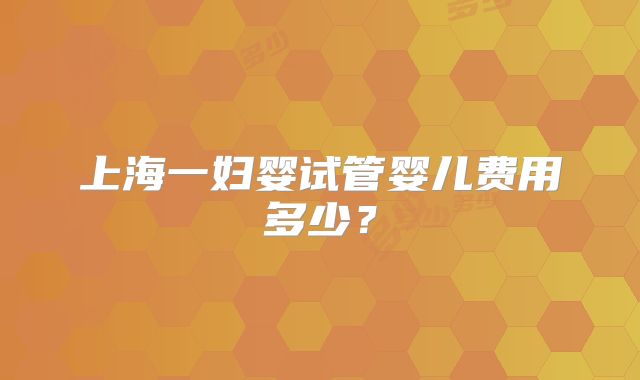 上海一妇婴试管婴儿费用多少？
