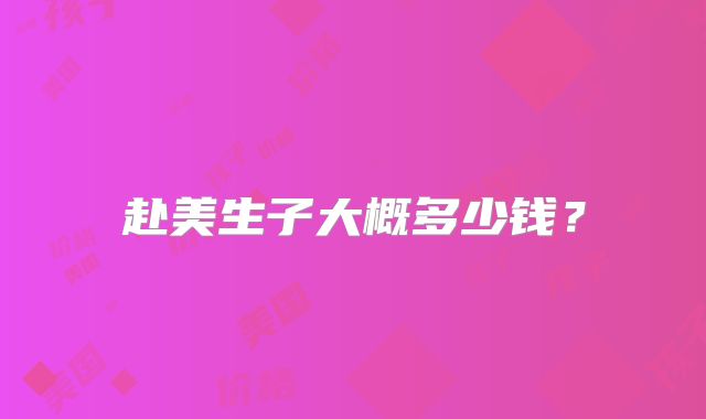赴美生子大概多少钱？