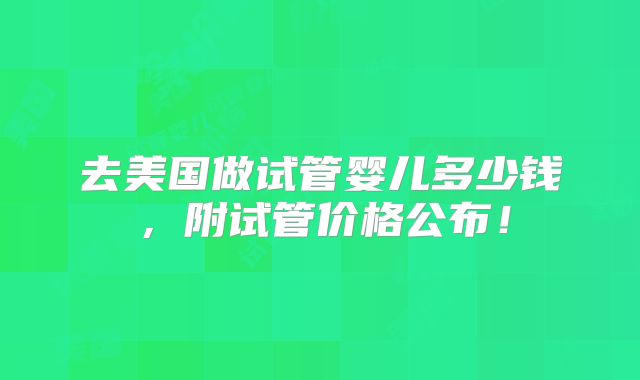 去美国做试管婴儿多少钱,附试管价格公布!