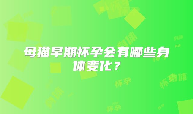 母猫早期怀孕会有哪些身体变化?
