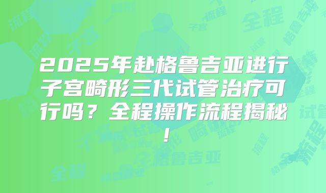 2025年赴格鲁吉亚进行子宫畸形三代试管治疗可行吗?全程操作流程揭秘!