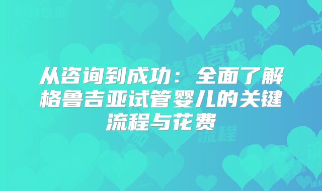 从咨询到成功：全面了解格鲁吉亚试管婴儿的关键流程与花费