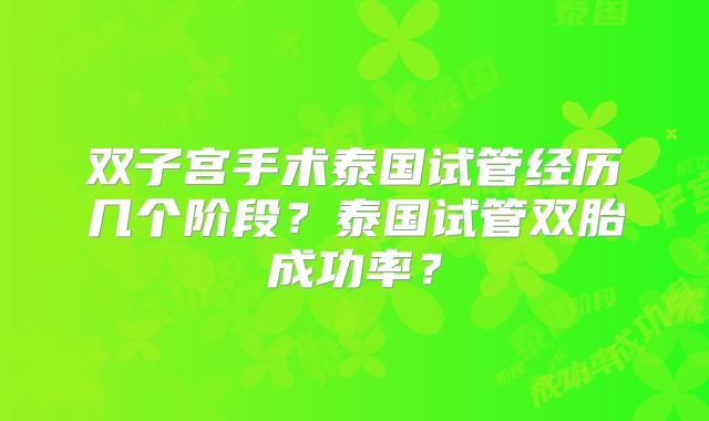 双子宫手术泰国试管经历几个阶段？泰国试管双胎成功率？