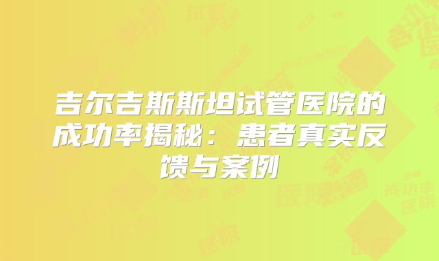 吉尔吉斯斯坦试管医院的成功率揭秘:患者真实反馈与案例