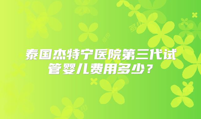 泰国杰特宁医院第三代试管婴儿费用多少？