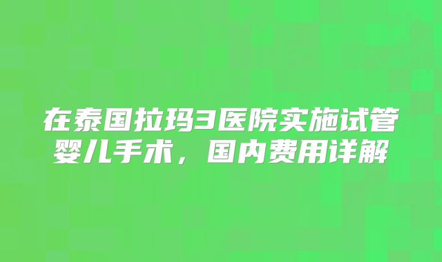 在泰国拉玛3医院实施试管婴儿手术，国内费用详解
