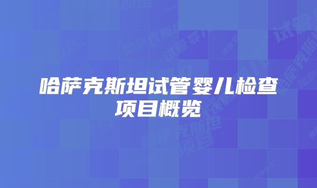 哈萨克斯坦试管婴儿检查项目概览