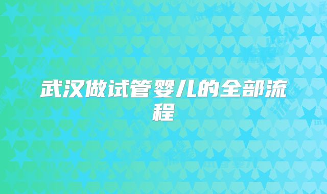 武汉做试管婴儿的全部流程