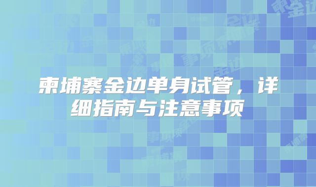 柬埔寨金边单身试管，详细指南与注意事项