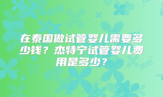 在泰国做试管婴儿需要多少钱？杰特宁试管婴儿费用是多少？