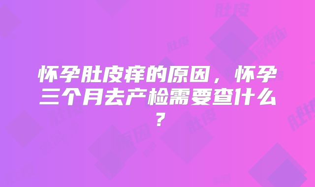 怀孕肚皮痒的原因，怀孕三个月去产检需要查什么？