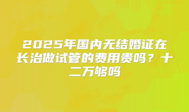 2025年国内无结婚证在长治做试管的费用贵吗?十二万够吗