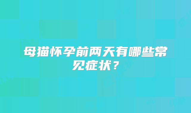 母猫怀孕前两天有哪些常见症状？