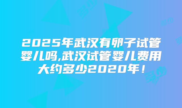2025年武汉有卵子试管婴儿吗,武汉试管婴儿费用大约多少2020年！