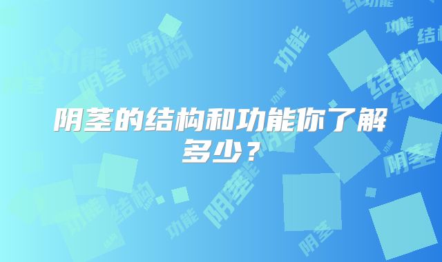 阴茎的结构和功能你了解多少?