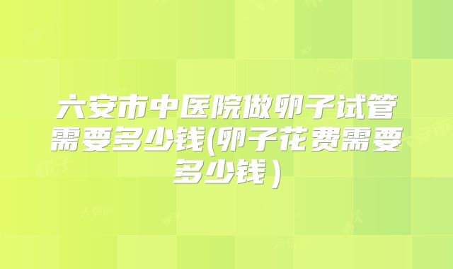 六安市中医院做卵子试管需要多少钱(卵子花费需要多少钱）
