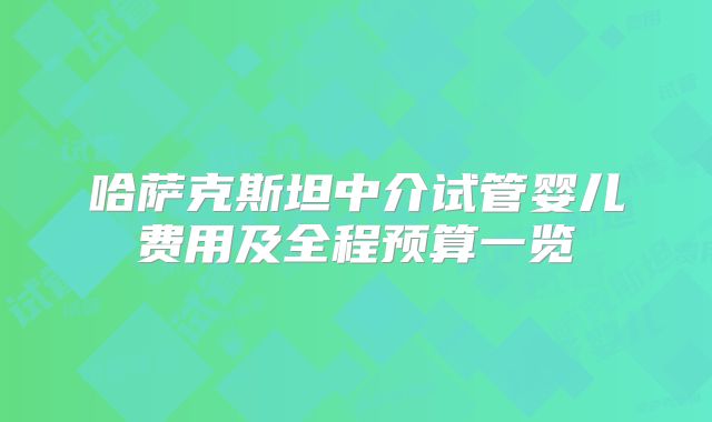 哈萨克斯坦中介试管婴儿费用及全程预算一览