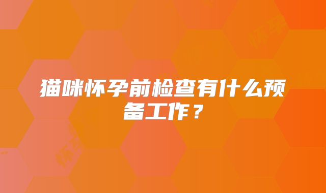 猫咪怀孕前检查有什么预备工作？