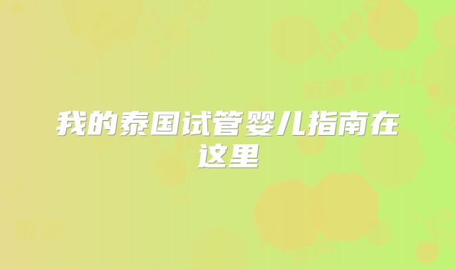 我的泰国试管婴儿指南在这里