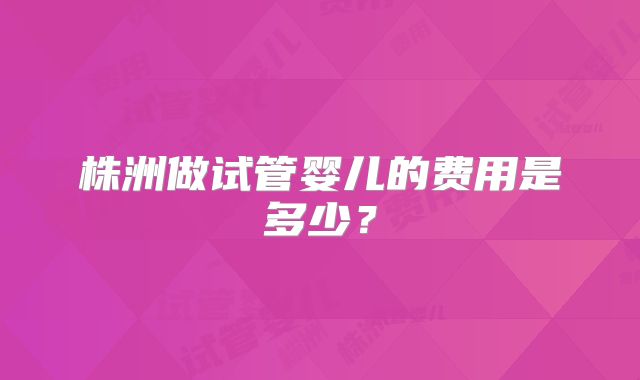 株洲做试管婴儿的费用是多少？