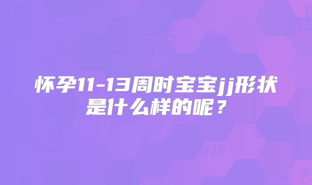 怀孕11-13周时宝宝jj形状是什么样的呢?