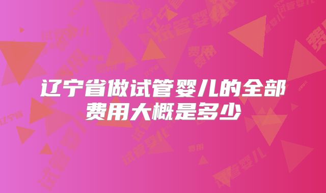 辽宁省做试管婴儿的全部费用大概是多少