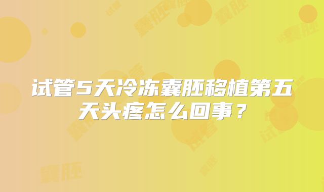 试管5天冷冻囊胚移植第五天头疼怎么回事？