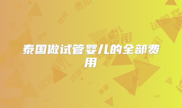 泰国做试管婴儿的全部费用