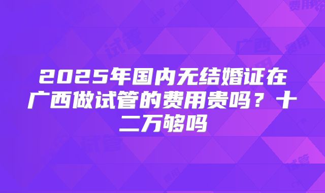 2025年国内无结婚证在广西做试管的费用贵吗？十二万够吗
