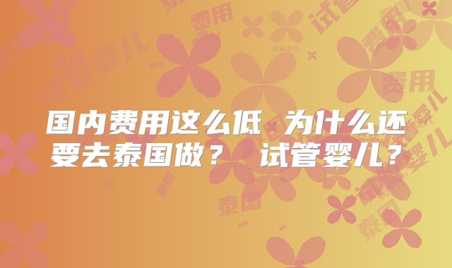 国内费用这么低 为什么还要去泰国做？ 试管婴儿？