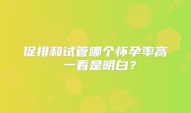 促排和试管哪个怀孕率高 一看是明白?