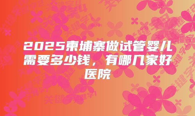 2025柬埔寨做试管婴儿需要多少钱，有哪几家好医院