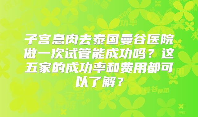 子宫息肉去泰国曼谷医院做一次试管能成功吗？这五家的成功率和费用都可以了解？