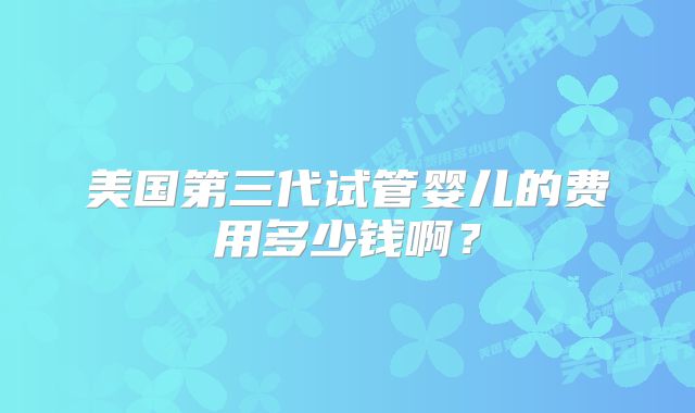 美国第三代试管婴儿的费用多少钱啊?