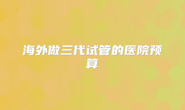 海外做三代试管的医院预算