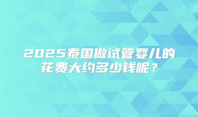 2025泰国做试管婴儿的花费大约多少钱呢？