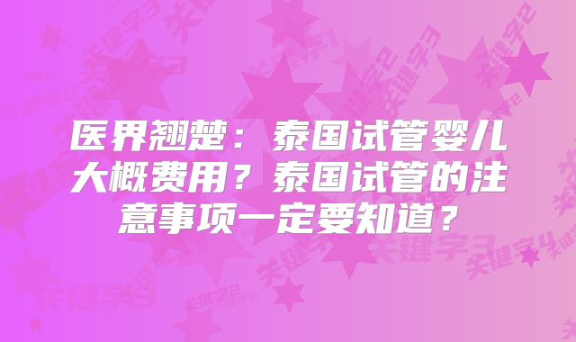 医界翘楚：泰国试管婴儿大概费用？泰国试管的注意事项一定要知道？