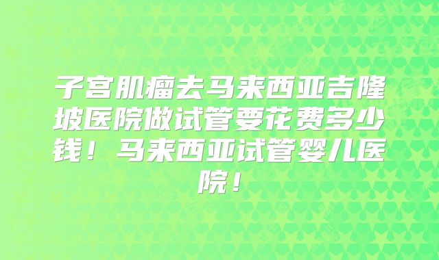 子宫肌瘤去马来西亚吉隆坡医院做试管要花费多少钱！马来西亚试管婴儿医院！
