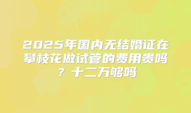 2025年国内无结婚证在攀枝花做试管的费用贵吗?十二万够吗