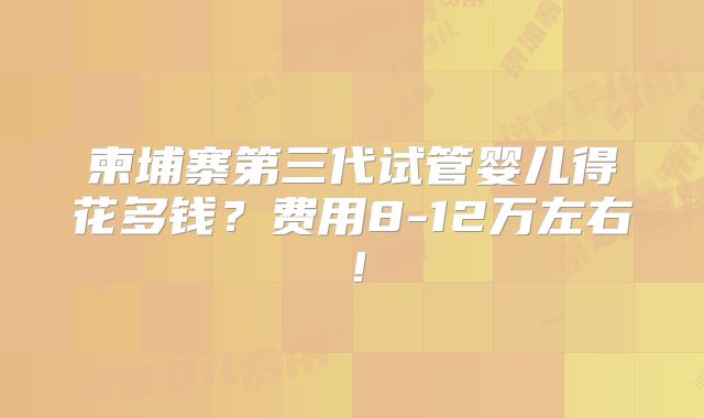 柬埔寨第三代试管婴儿得花多钱？费用8-12万左右！