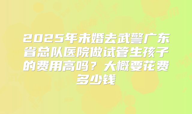2025年未婚去武警广东省总队医院做试管生孩子的费用高吗？大概要花费多少钱